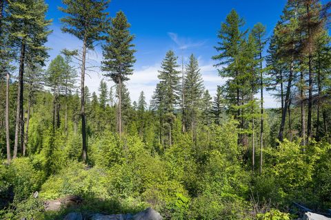 Tiny photo for 173 Timberjack Trail, Bigfork, MT 59911 (MLS # 30069964)