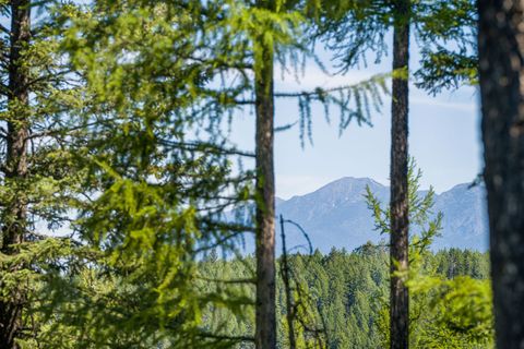 Tiny photo for 173 Timberjack Trail, Bigfork, MT 59911 (MLS # 30069964)
