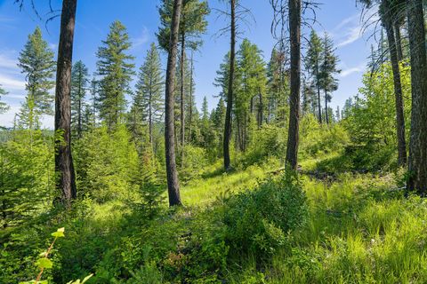 Tiny photo for 173 Timberjack Trail, Bigfork, MT 59911 (MLS # 30069964)