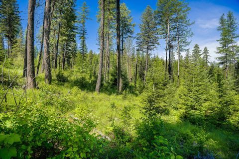 Tiny photo for 173 Timberjack Trail, Bigfork, MT 59911 (MLS # 30069964)