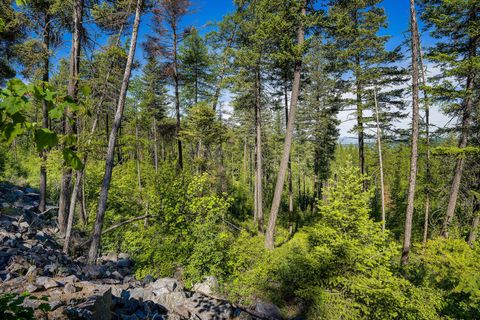 Tiny photo for 173 Timberjack Trail, Bigfork, MT 59911 (MLS # 30069964)