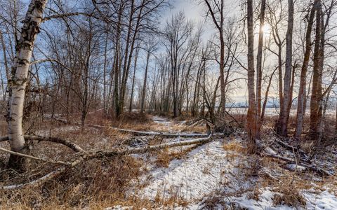 Tiny photo for 905 Wagner Lane, Kalispell, MT 59901 (MLS # 30065767)