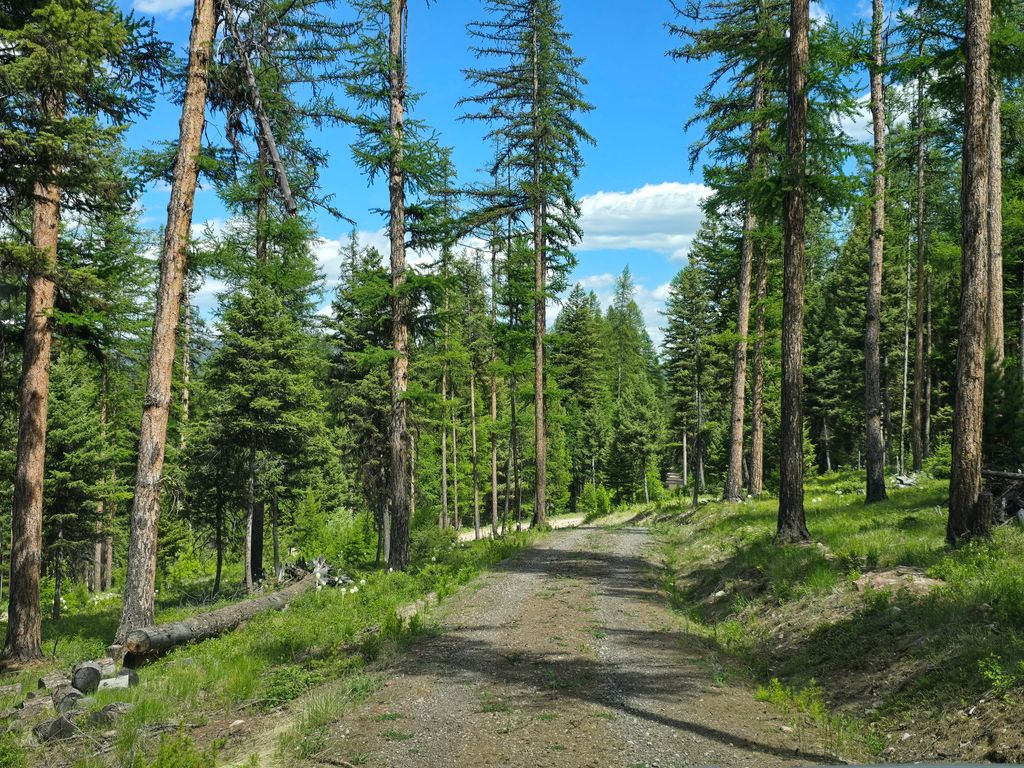 Photo of 3007 S Placid View Place, Bonner, MT 59823 (MLS # 30067156)