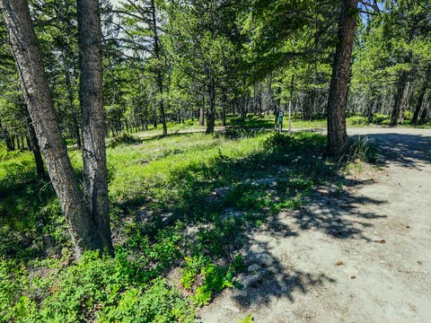 Tiny photo for 558 Bald Rock Road, Kalispell, MT 59901 (MLS # 30072692)