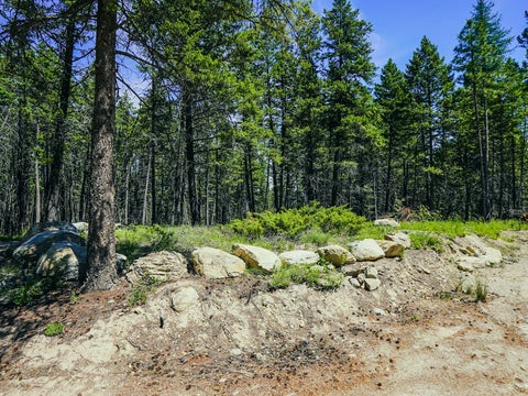 Tiny photo for 558 Bald Rock Road, Kalispell, MT 59901 (MLS # 30072692)