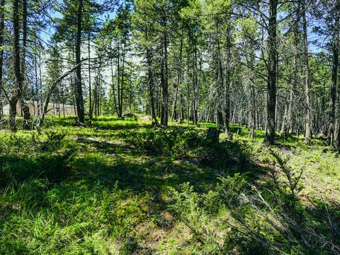 Tiny photo for 558 Bald Rock Road, Kalispell, MT 59901 (MLS # 30072692)