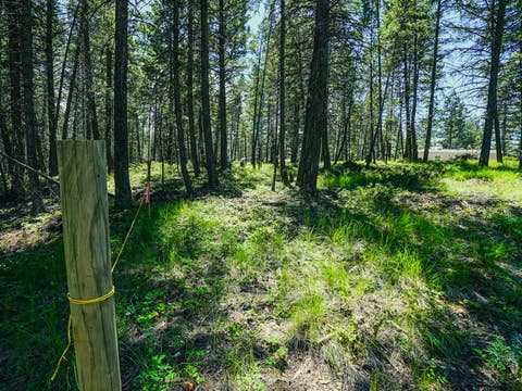 Tiny photo for 558 Bald Rock Road, Kalispell, MT 59901 (MLS # 30072692)