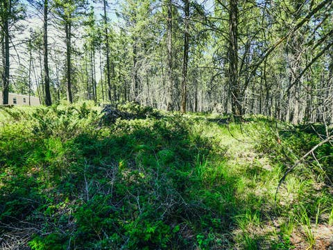 Tiny photo for 558 Bald Rock Road, Kalispell, MT 59901 (MLS # 30072692)