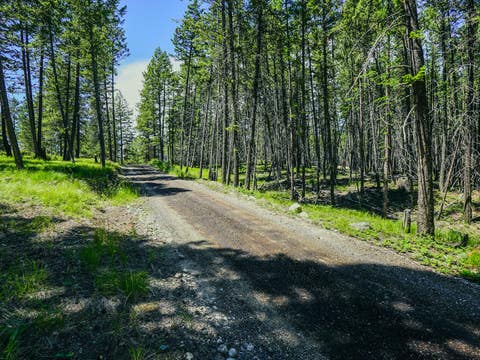 Tiny photo for 558 Bald Rock Road, Kalispell, MT 59901 (MLS # 30072692)