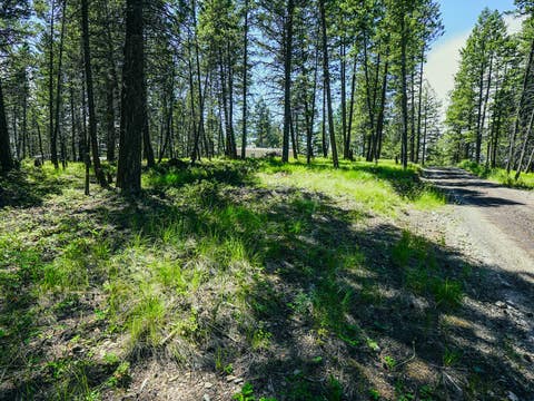 Tiny photo for 558 Bald Rock Road, Kalispell, MT 59901 (MLS # 30072692)