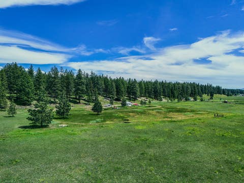 Tiny photo for 558 Bald Rock Road, Kalispell, MT 59901 (MLS # 30072692)