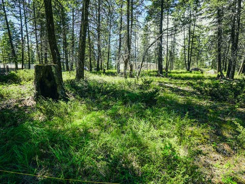 Tiny photo for 558 Bald Rock Road, Kalispell, MT 59901 (MLS # 30072692)