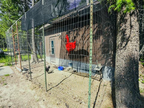 Tiny photo for 558 Bald Rock Road, Kalispell, MT 59901 (MLS # 30072692)