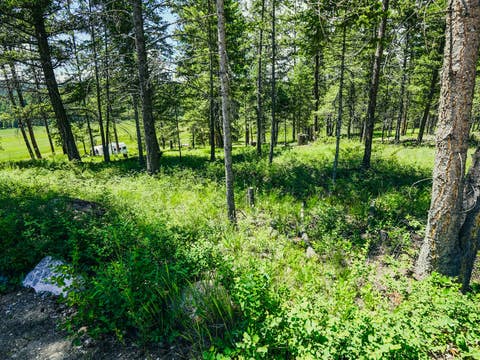 Tiny photo for 558 Bald Rock Road, Kalispell, MT 59901 (MLS # 30072692)