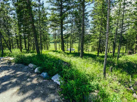 Tiny photo for 558 Bald Rock Road, Kalispell, MT 59901 (MLS # 30072692)