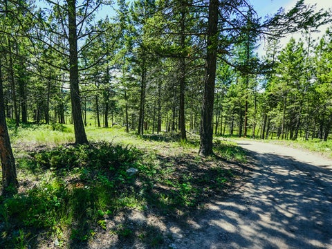 Tiny photo for 558 Bald Rock Road, Kalispell, MT 59901 (MLS # 30072692)