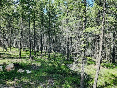 Tiny photo for 558 Bald Rock Road, Kalispell, MT 59901 (MLS # 30072692)