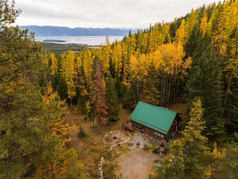 41957 Big Lodge Lane Rollins MT 59931