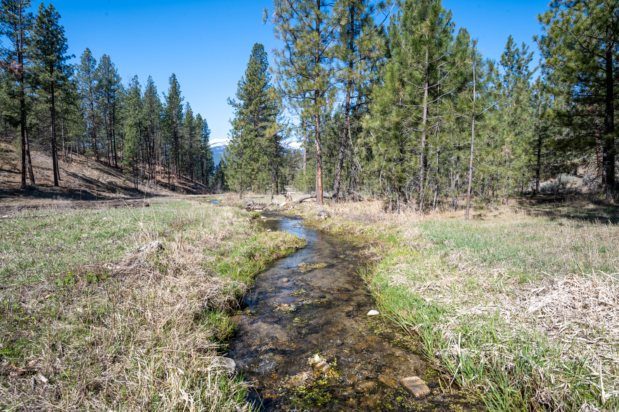 419 Treece Gulch Road