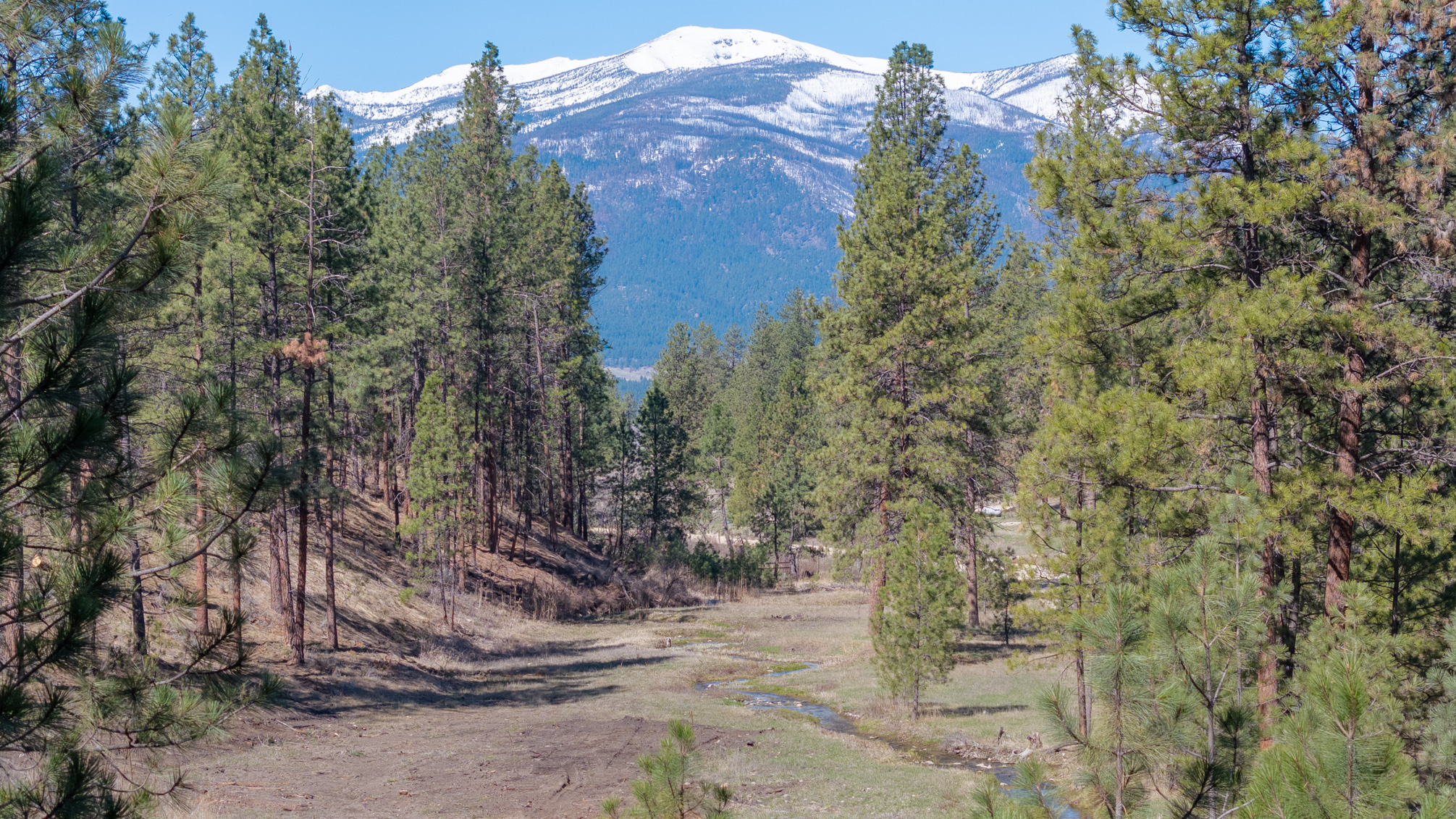 419 Treece Gulch Road