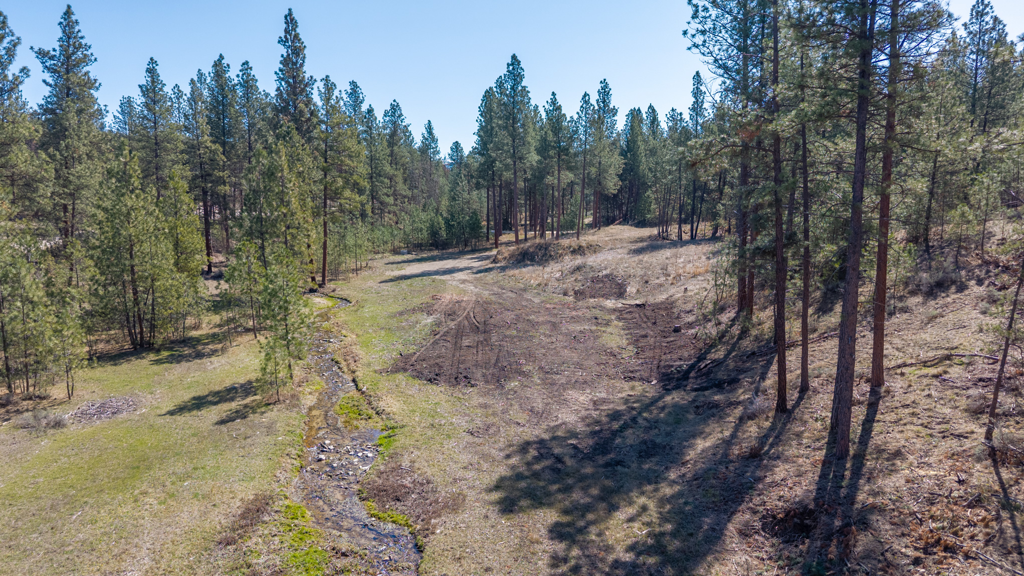 419 Treece Gulch Road