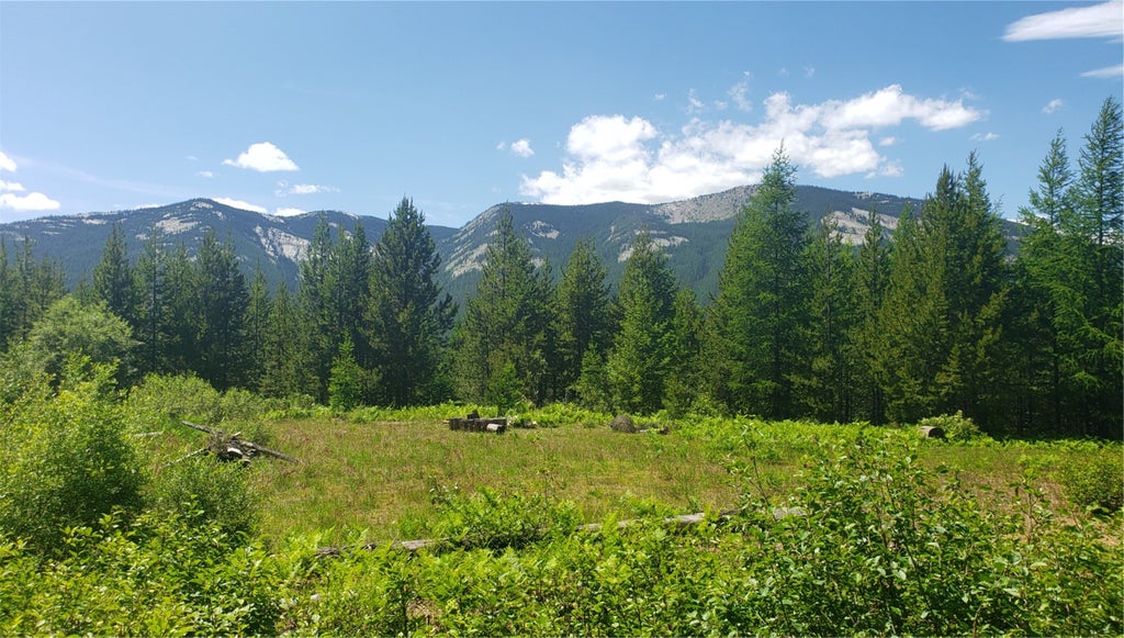 Photo of 14463 Libby Creek Road, Libby, MT 59923 (MLS # 30069725)