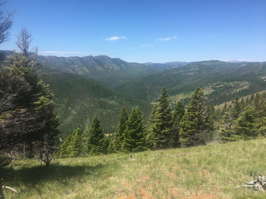 Photo of TBD Bear Track Road, Wolf Creek, MT 59648 (MLS # 30060519)
