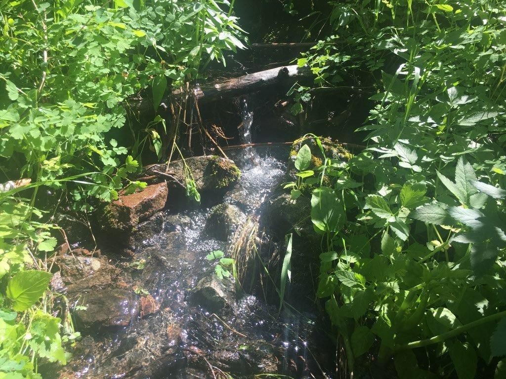 Photo of TBD Bear Track Road, Wolf Creek, MT 59648 (MLS # 30060519)