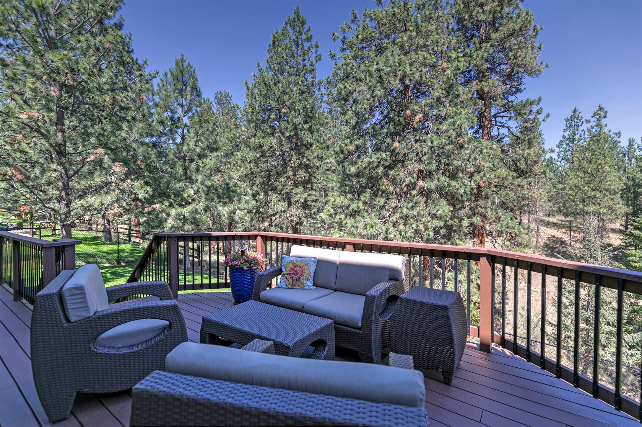 10613 Coulter Pine Street