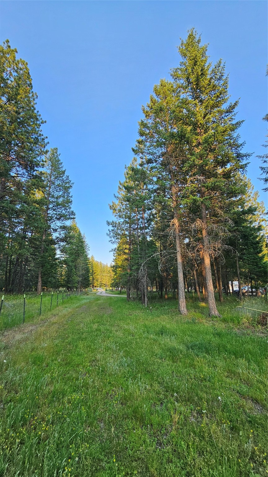 Bigfork, Montana 59911, United States, 2 Bedrooms Bedrooms, ,2 BathroomsBathrooms,Residential,Pending,49792