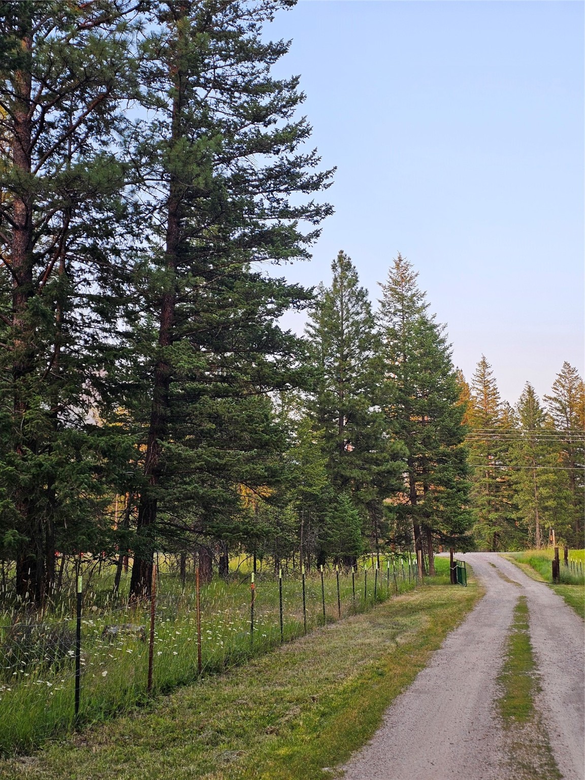 Bigfork, Montana 59911, United States, 2 Bedrooms Bedrooms, ,2 BathroomsBathrooms,Residential,Pending,49792