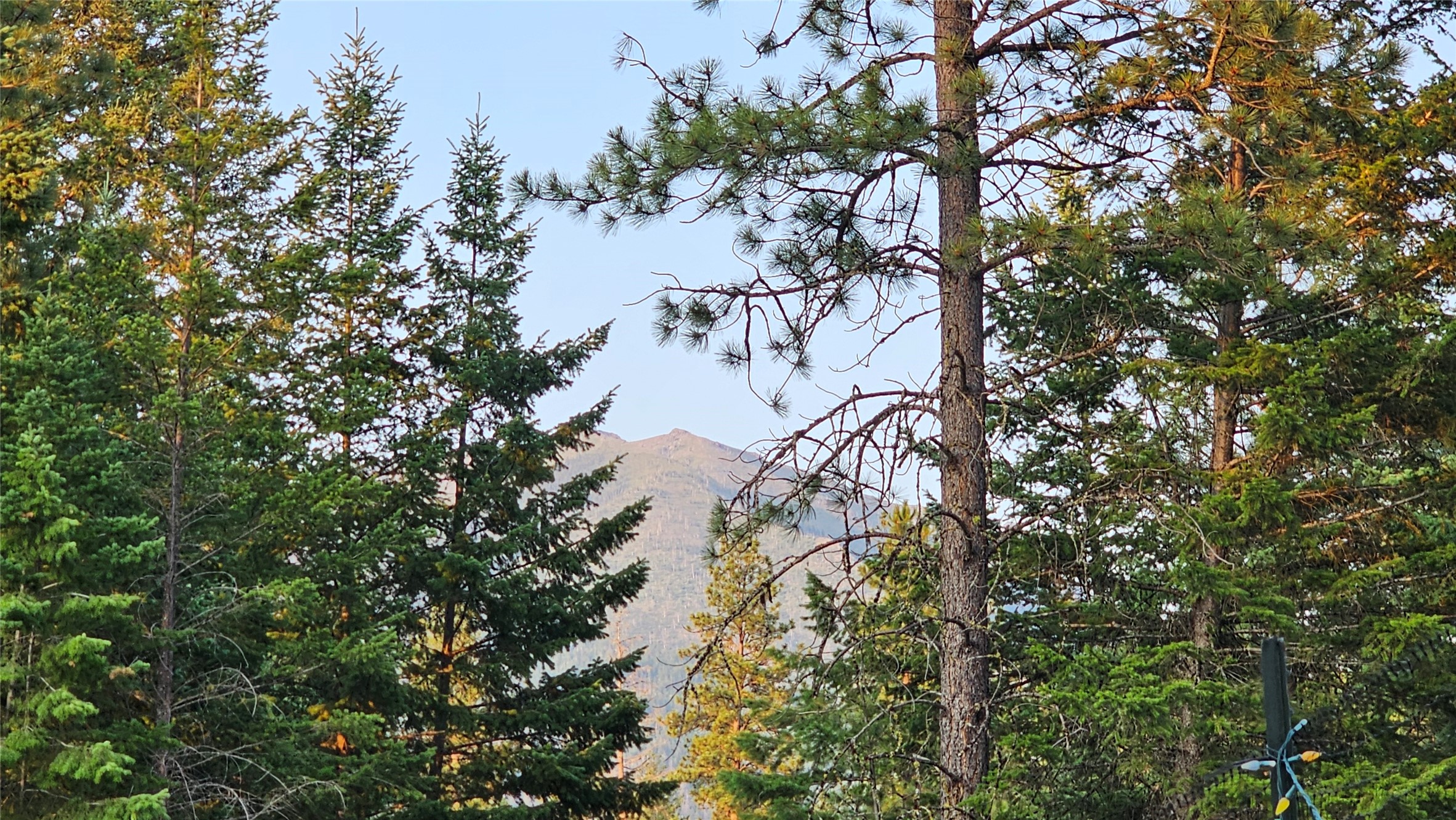 Bigfork, Montana 59911, United States, 2 Bedrooms Bedrooms, ,2 BathroomsBathrooms,Residential,Pending,49792