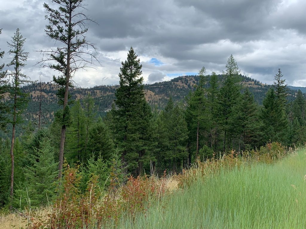 Photo of Tract 11 Whitetail Ridge, Kila, MT 59920 (MLS # 30068096)