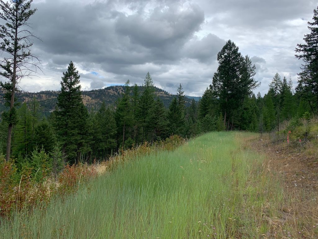 Photo of Tract 11 Whitetail Ridge, Kila, MT 59920 (MLS # 30068096)