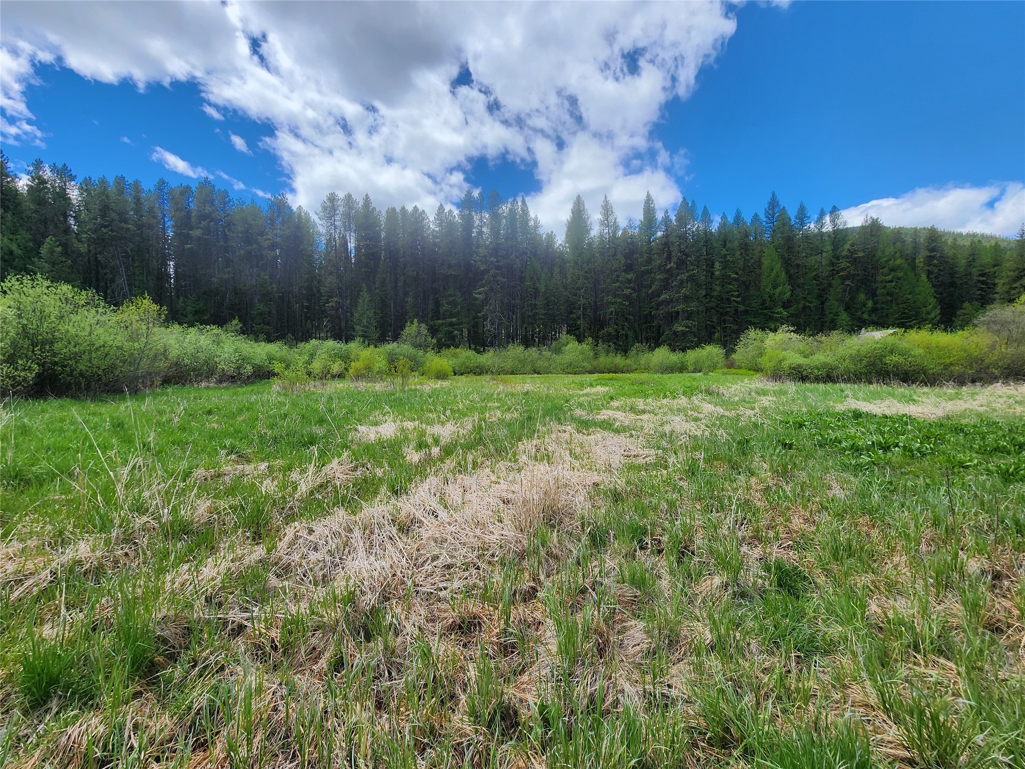 Nhn North Fork Yaak Road