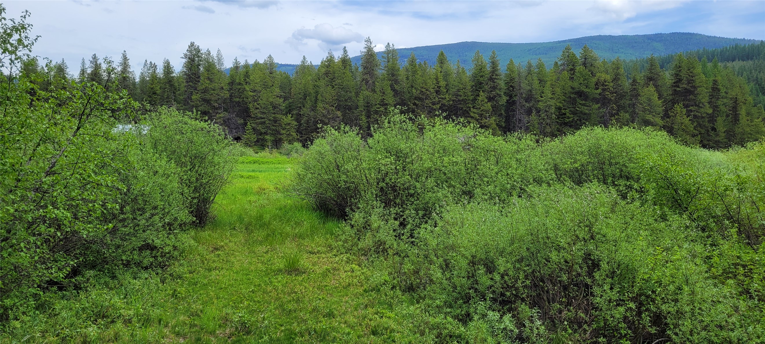Nhn North Fork Yaak Road