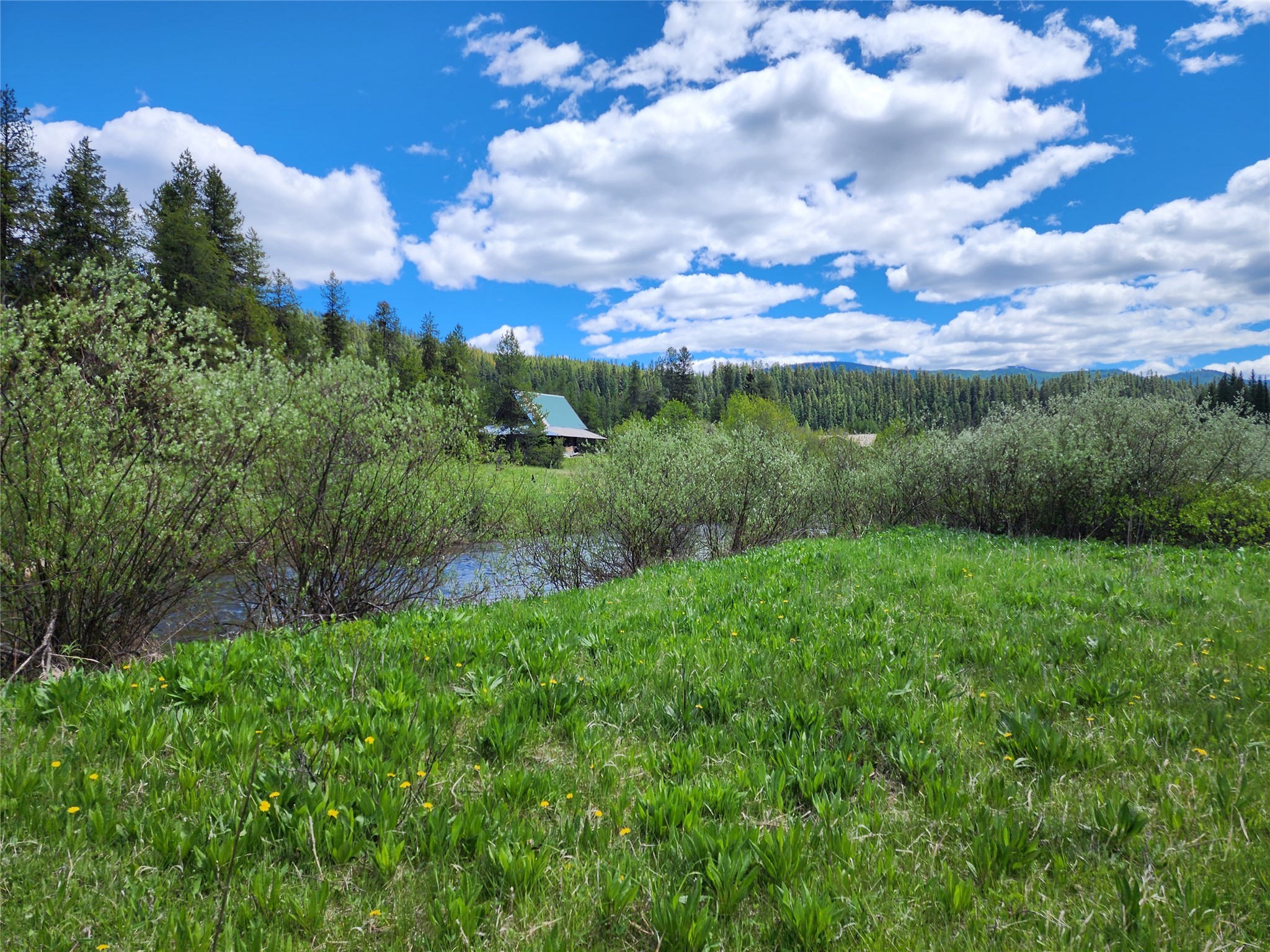 Nhn North Fork Yaak Road