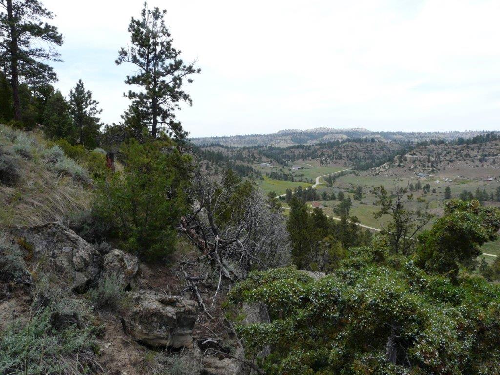 115 Red And King Gulch Road