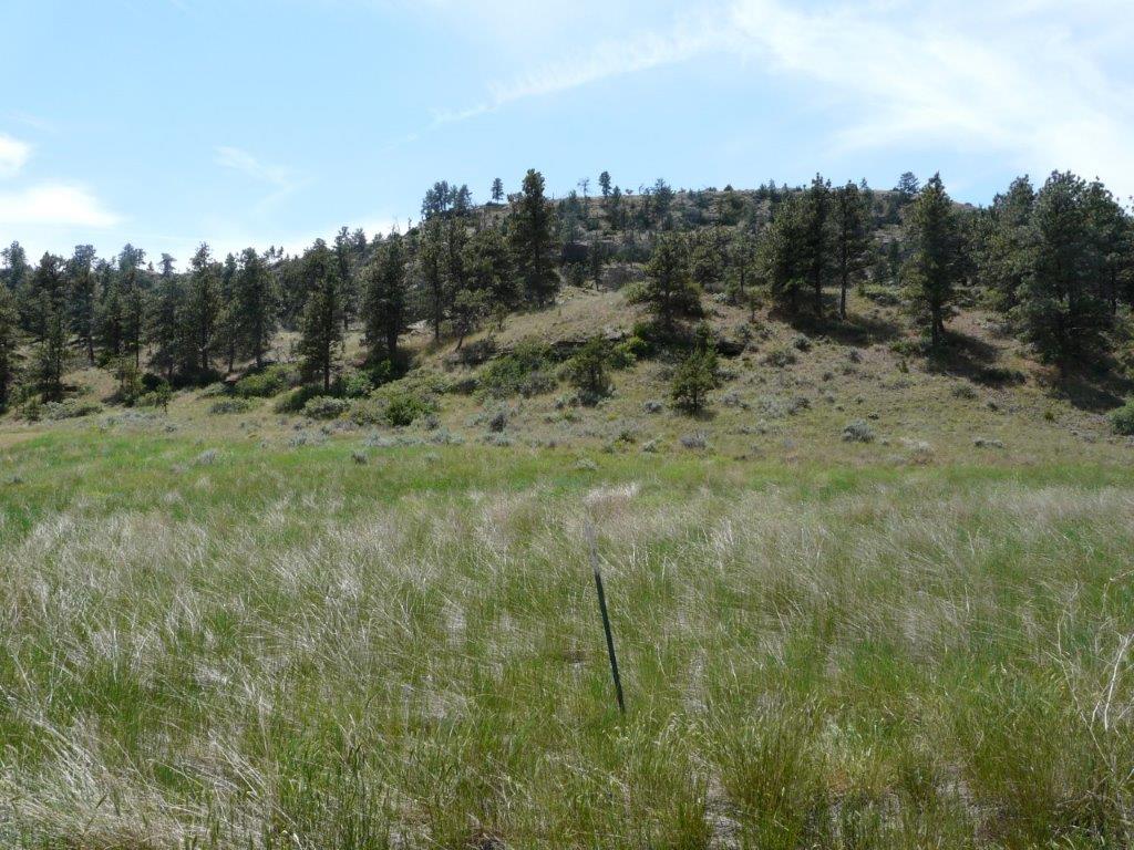 115 Red And King Gulch Road