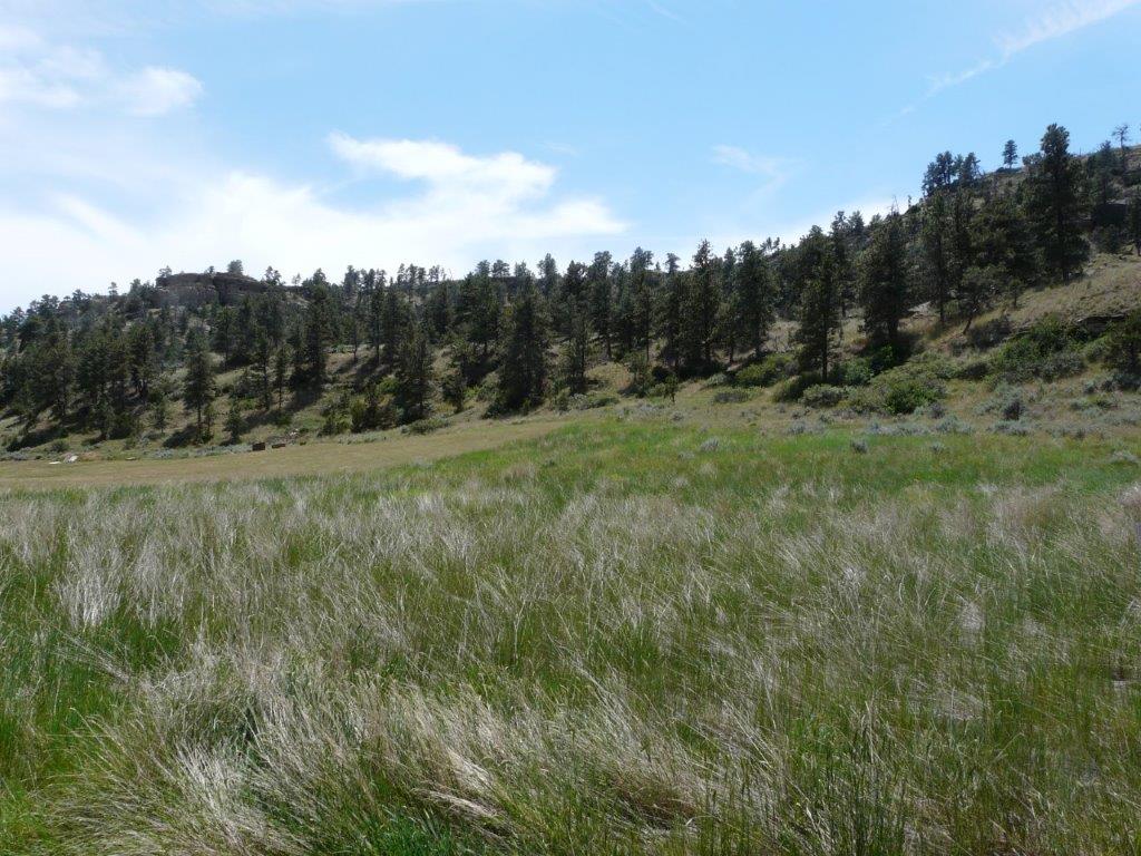 115 Red And King Gulch Road