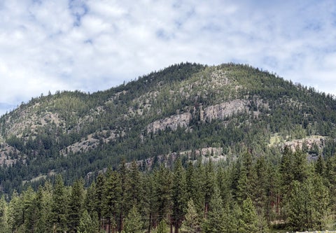 Tiny photo for 106 3rd Street, Alberton, MT 59820 (MLS # 30073451)