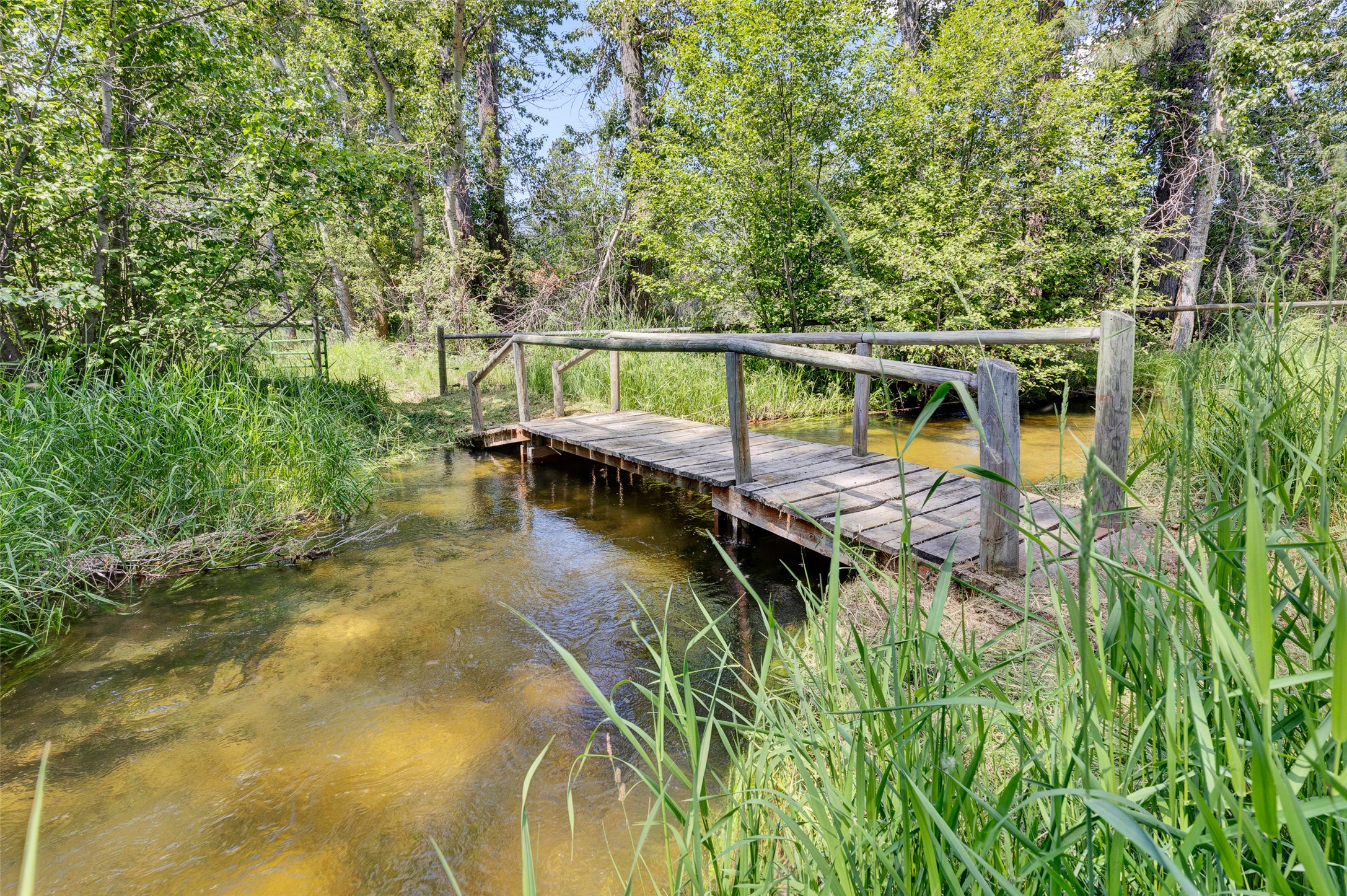 1567 Ward Mountain Lane