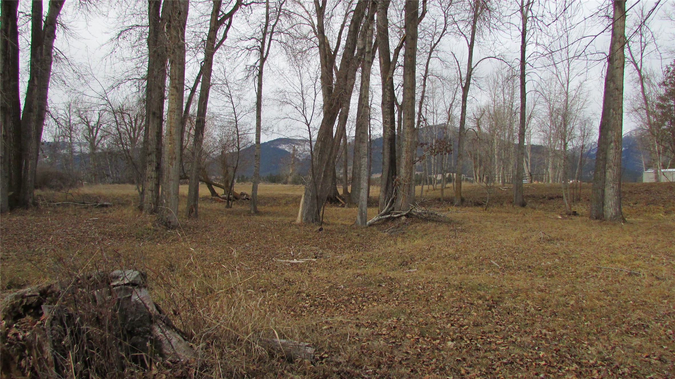 NhN Meridian Road
