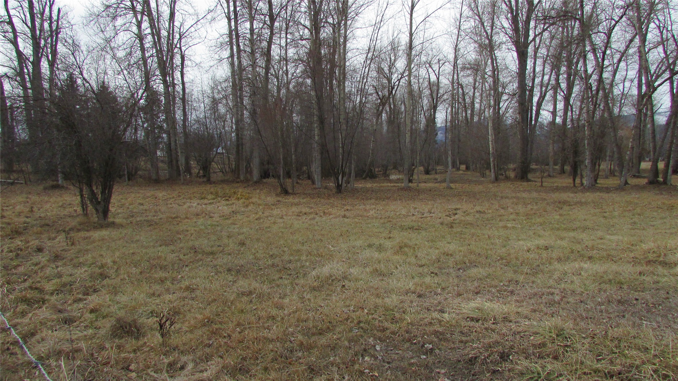 NhN Meridian Road