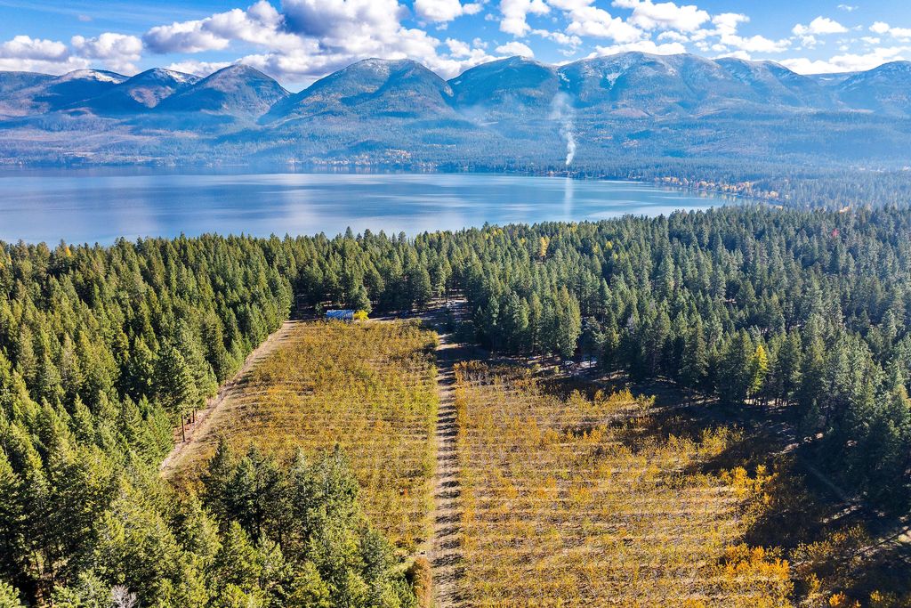 Photo of 34310 Sweet Cherry Lane, Polson, MT 59860 (MLS # 30060490)