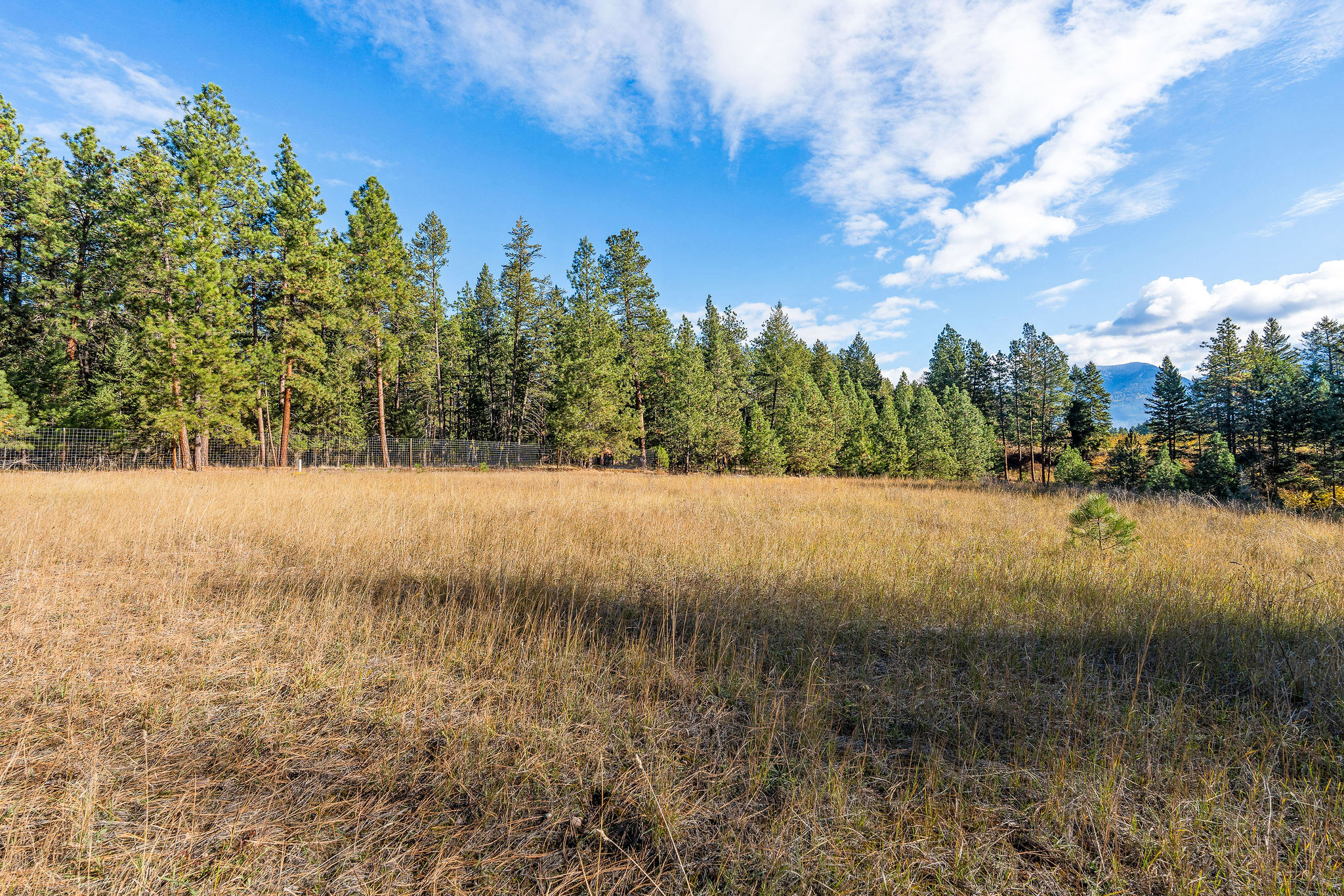 34310 Sweet Cherry Lane