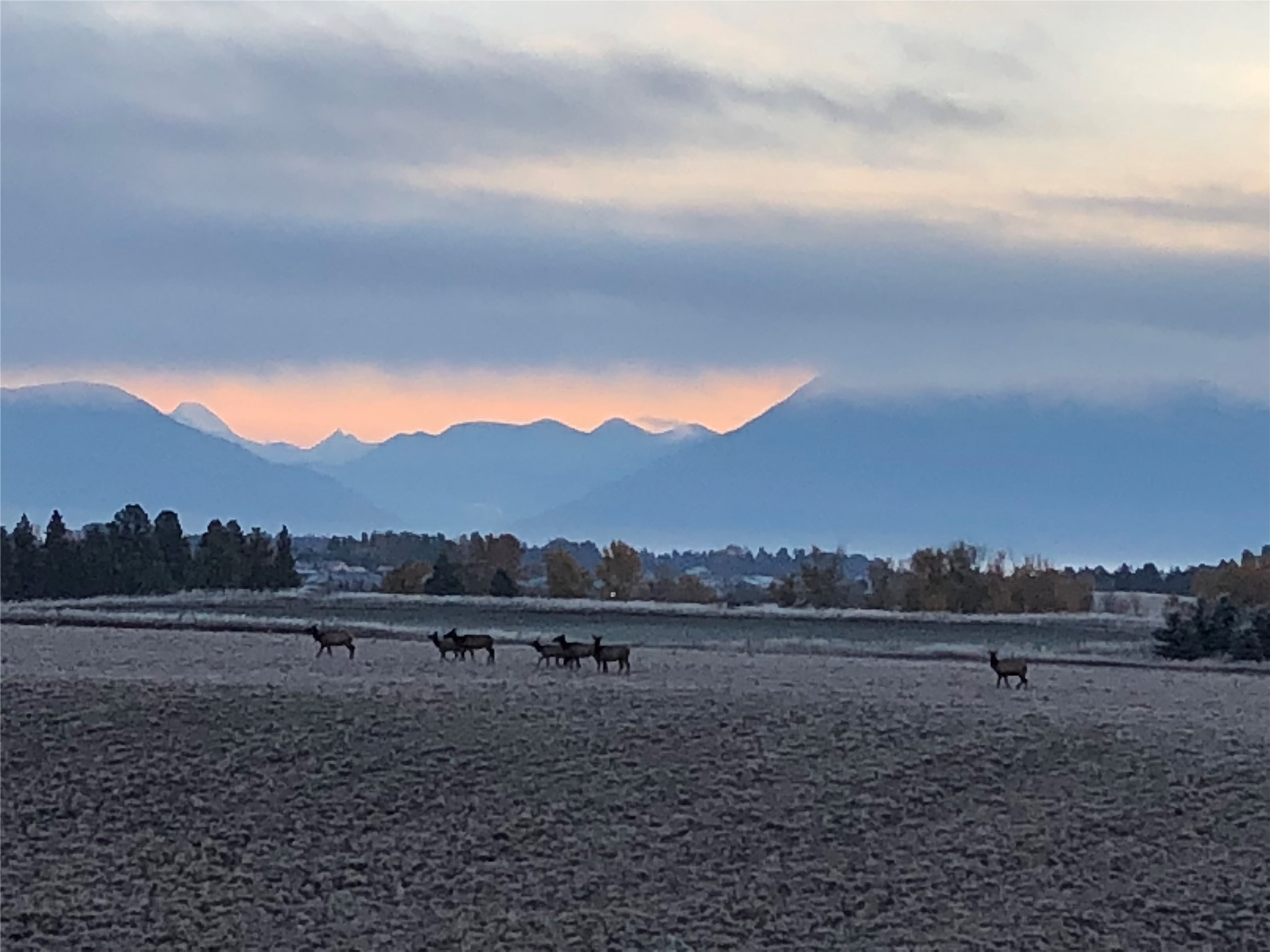 Kalispell, Montana 59901, United States, 3 Bedrooms Bedrooms, ,3 BathroomsBathrooms,Residential,Active,185687