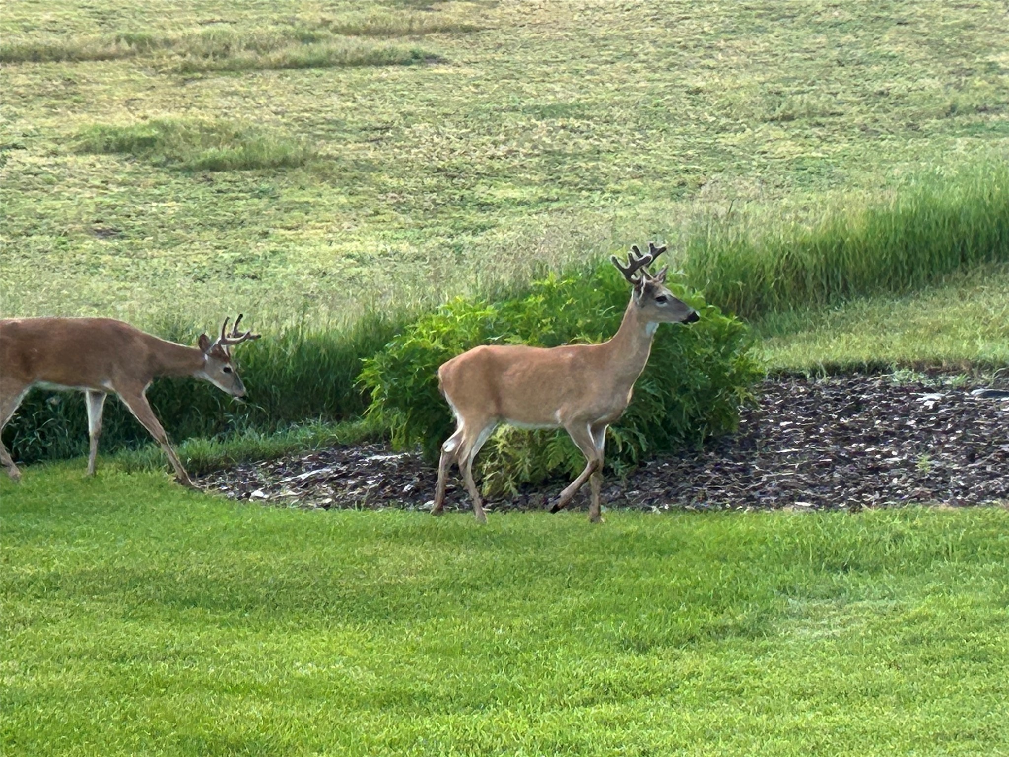 Kalispell, Montana 59901, United States, 3 Bedrooms Bedrooms, ,3 BathroomsBathrooms,Residential,Active,185687