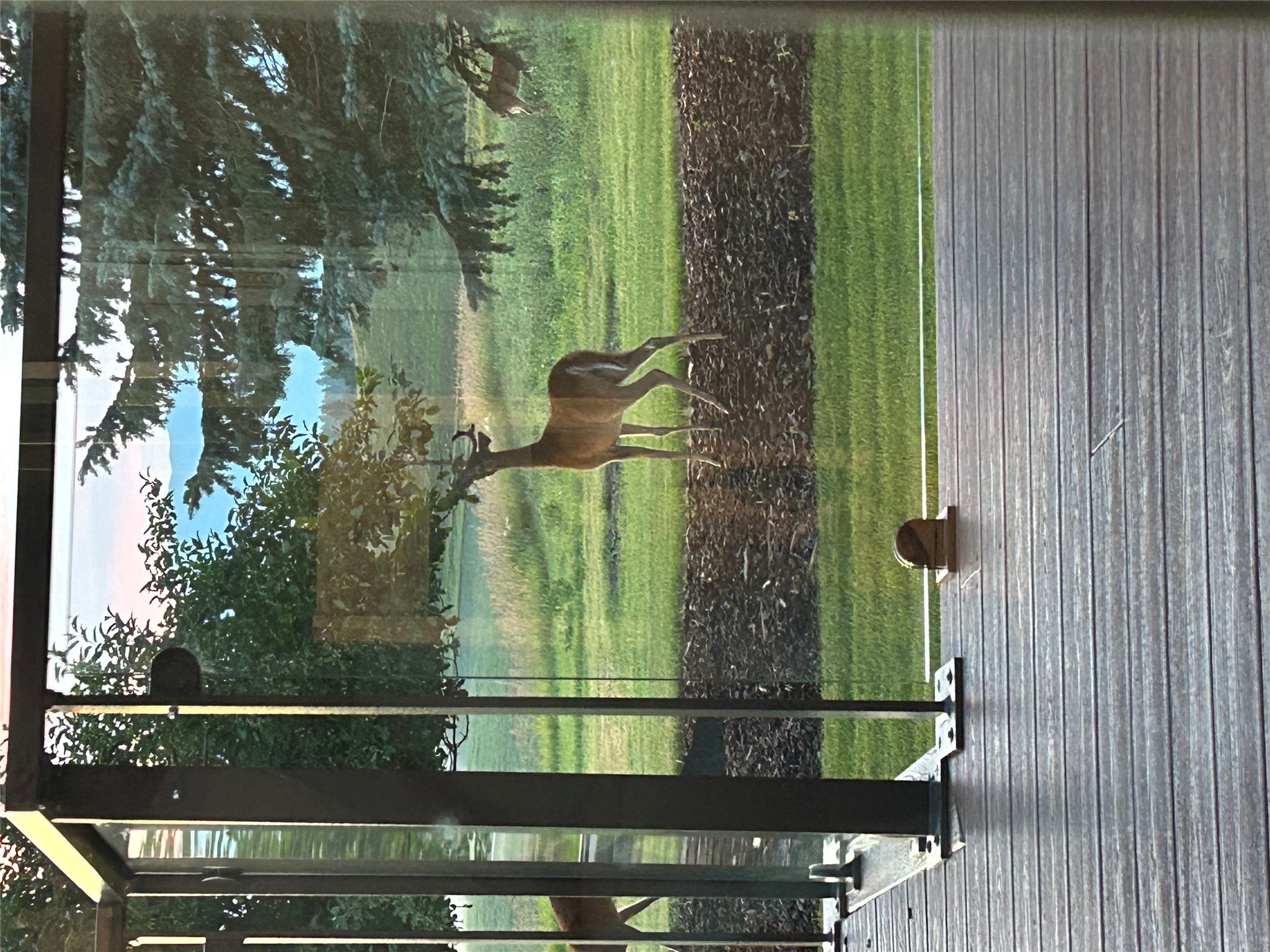 Kalispell, Montana 59901, United States, 3 Bedrooms Bedrooms, ,3 BathroomsBathrooms,Residential,Active,185687