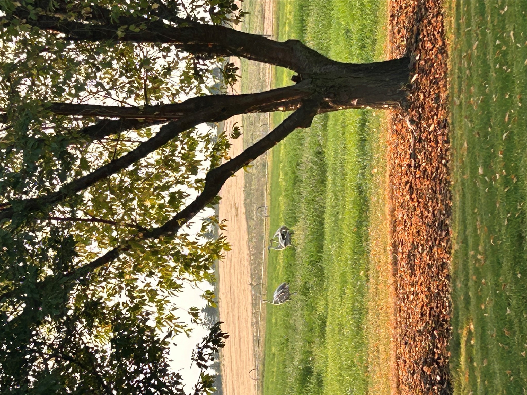 Kalispell, Montana 59901, United States, 3 Bedrooms Bedrooms, ,3 BathroomsBathrooms,Residential,Active,185687